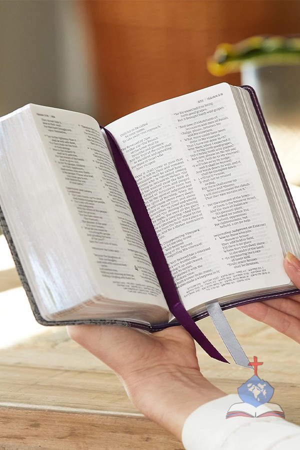 NKJV, Reference Bible, Compact Large Print, Leathersoft, Black, Red Letter, Comfort Print